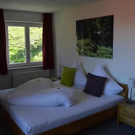 Hotel Gruener Hut - Dein Berghotel