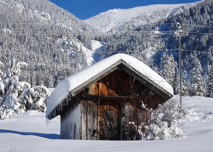 Gruener Hut - Dein