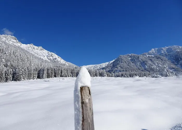 Hotel Gruener Hut - Dein 3*