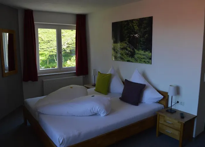 Hotel Gruener Hut - Dein