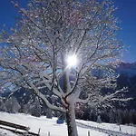 Hotel Gruener Hut - Dein 3*