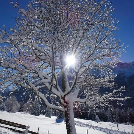 Hotel Gruener Hut - Dein 3*