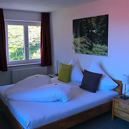 Hotel Gruener Hut - Dein 3*