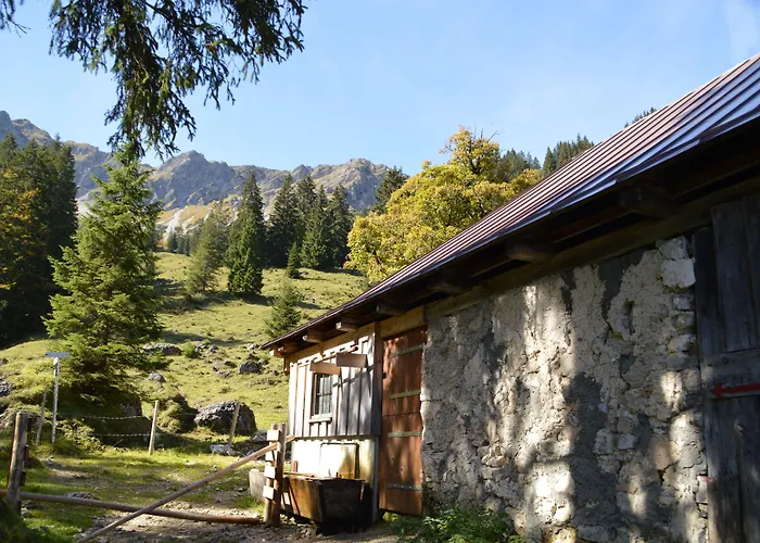Hotel Gruener Hut - Dein 3*